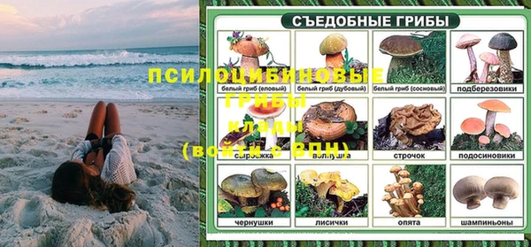 прущие грибы Бугульма