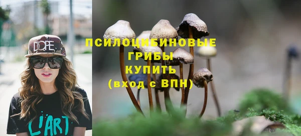 ГАЛЛЮЦИНОГЕННЫЕ ГРИБЫ Богородицк