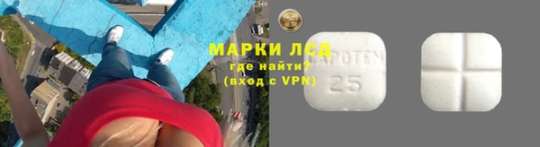 гидра Бородино