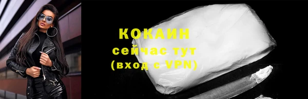 соль ск Богородск