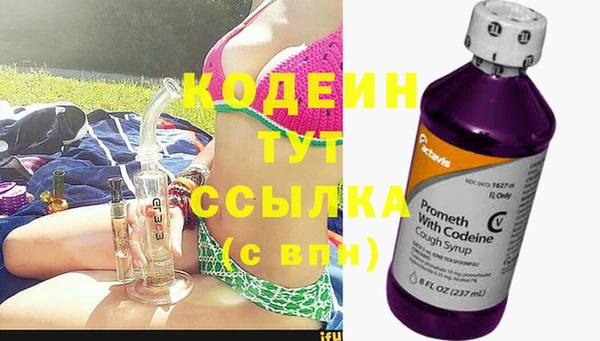 гидра Бородино